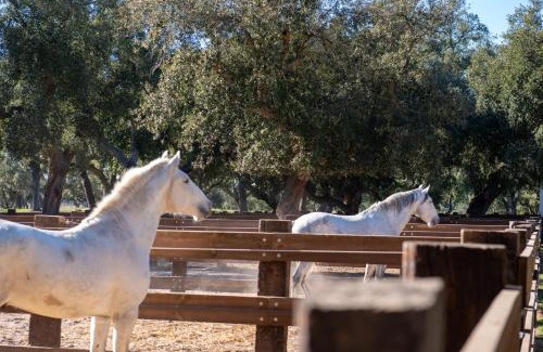 Courelinhas Maison | Herdade das Onzenas de Cima