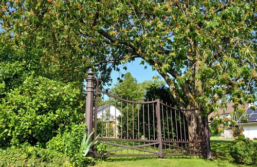 Voehl Maison | Ici vous trouverez le calme et la détente - Ferienhaus Tassius