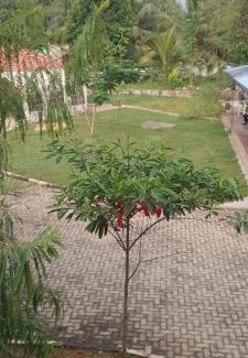 Anuradhapura Hôtel | Heritage City Hotel Anuradhapura
