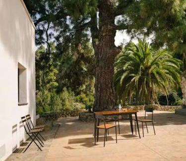 La Guancha Maison | Hermosa casa con vistas al jardin