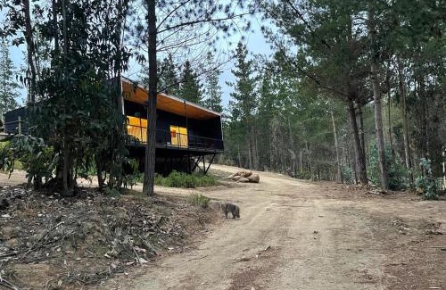 El Quisco Maison | Hermosa casa en el bosque