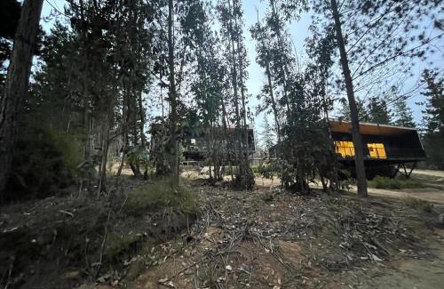 El Quisco Maison | Hermosa casa en el bosque