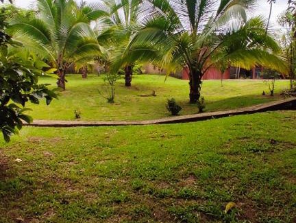 Chilamate Maison | Hermosa Quinta