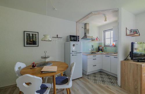Todtnauberg Appartement | HERZGRÜN direkt an traumhaften Wanderwegen Balkon mit toller Aussicht Sauna im Haus Tiefgarage E-Ladestation