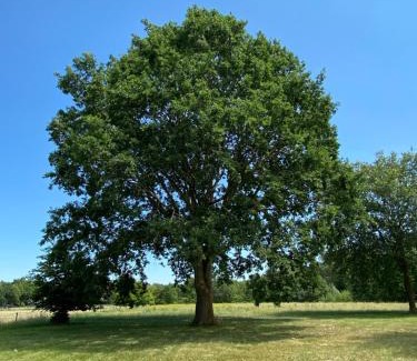 Malden Maison | Het Beregoed