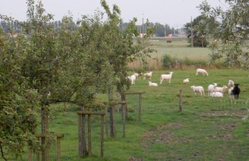 Koksijde Maison | Het Riethuis
