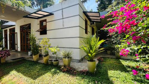 Devinuwara Maison | Hey Lala Talalla