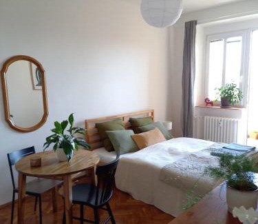 Vrsovice Appartement | Hezký apartman s balkonem