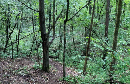 Kimball Location De VR | Hidden forest campground in South Pittsburg