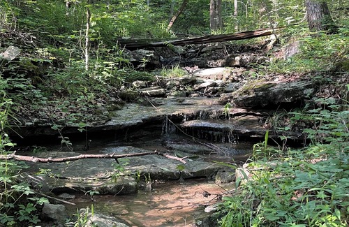 Kimball Location De VR | Hidden forest campground in South Pittsburg