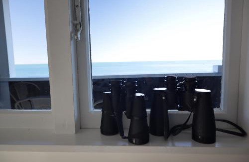 Kaikoura Maison | Hidden Gem Whale & Dolphin Spotting Epic Location
