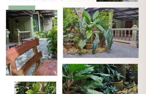 Marang Maison | Hidden Homestay