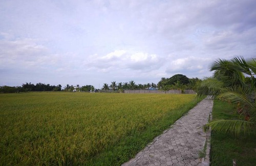 Ponneri Appartement | HIDE OUT at Medur, Pulicat Highway