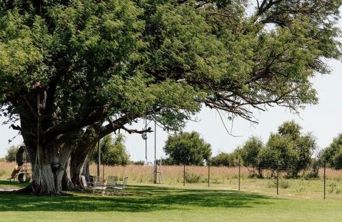 Kgetlengrivier Cabine | High Tree Lodge