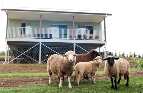 Kurrajong Maison | Petits-déjeuners gratuits - 1 chambre à coucher et canapé-lit dans le salon avec vue sur la montagne