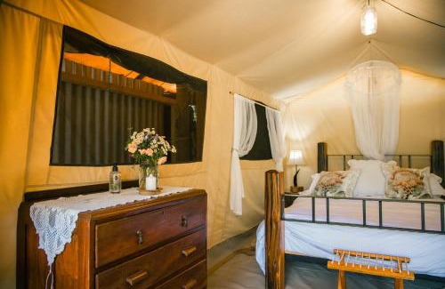 Heidelberg Cabine | HighlandsView