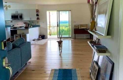 Town of Masonville Maison | Hightop House in NW Catskill: Views, Privacy, Fun