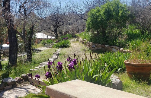Oracle Appartement | Hike Oracle State Park. BBQ, Relax & See the Stars! Casa Sontina @ C.O.D. Ranch