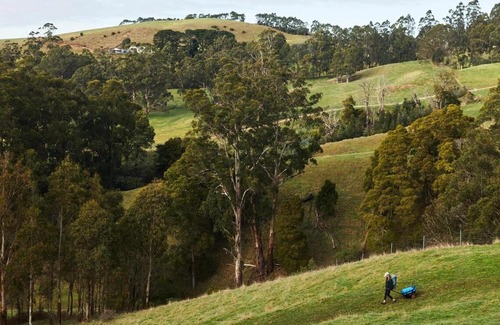 Hallston Maison | Hike to your Off-Grid Cabin Deep in Nature - Santi