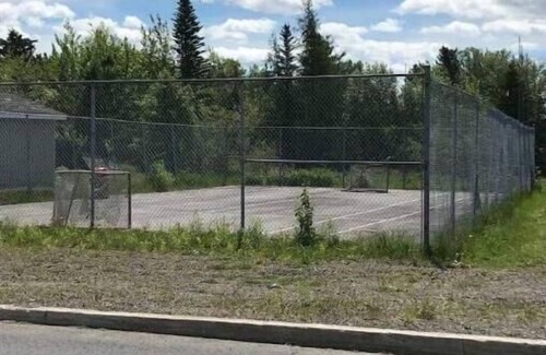 Lewisporte Appartement | Hillgrade Haven