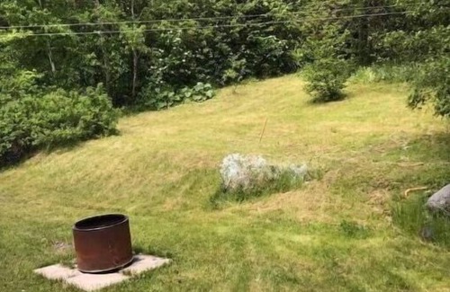 Lewisporte Appartement | Hillgrade Haven