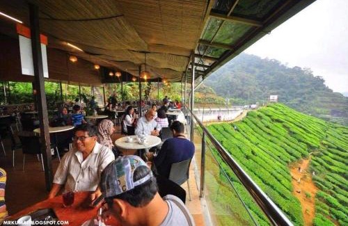 Tanah Rata Cabine | Hillside cottage reflesia room