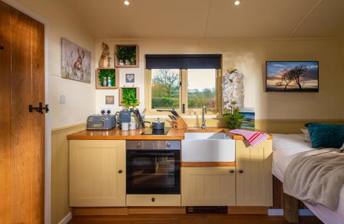 Wichenford Autre | Hillside View Shepherds Hut - Ockeridge Rural Retreats