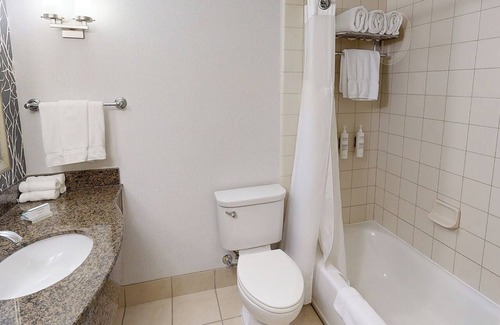 Novi Hôtel | Hilton Garden Inn Detroit/Novi