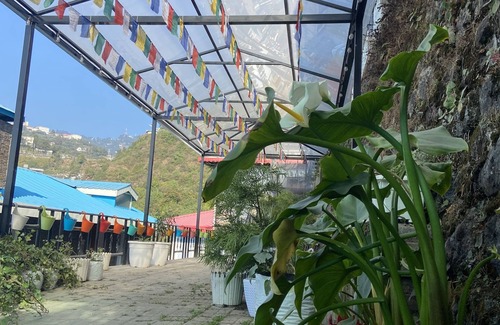 Mussoorie Maison | Himalayan Barn, for peaceful and blissful stays.