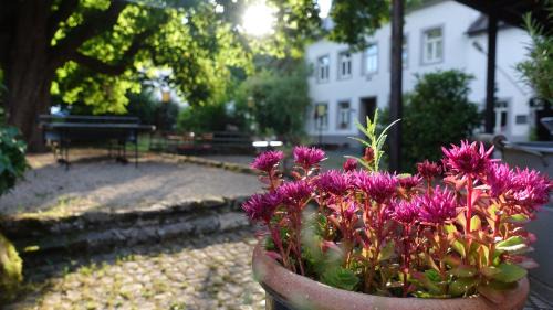 Korperich Appartement | Hinkelshof - als Ferienwohnung - Selbstversorgerküche & Aufenthaltsräume - Südeifel, Mullerthal, Vianden