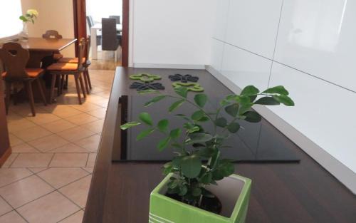 Kobarid Appartement | Hisa Lescer
