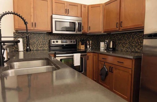 Roanoke Appartement | Historic brick charm 1BR downtown