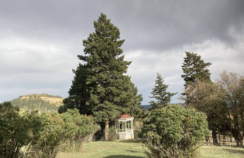 Palmer Lake Maison | Historic Estemere Mansion Carriage House! Perfect for reunions and events!