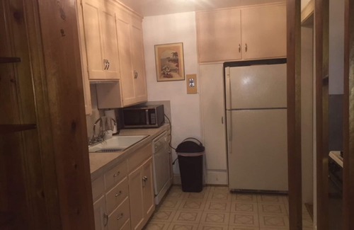 Roanoke Appartement | Loft historique au 1er étage du secteur Grandin Court