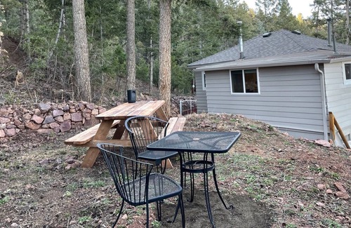 Colorado Springs Cabine | Historic Mountain Cabin in the trees and close to adventures!