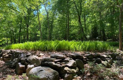Brockton Maison | Historic Sears River Home (Main Level) on 10 Acres