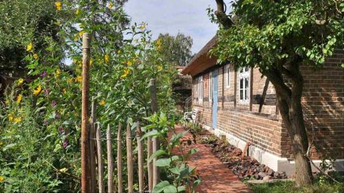 Bellin Maison | Historisches Reetdachhaus mit Bauwagen und großem Obstgarten