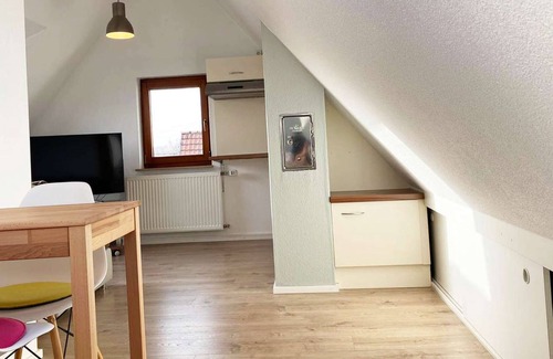 Wendlingen am Neckar Appartement | HÖ01 large apartment with dryer and washing machine