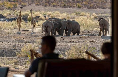 Kowares Cabine | Hobatere lodge