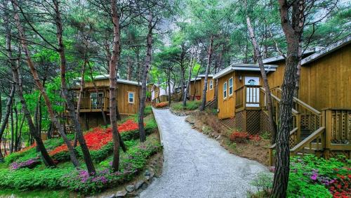 Dunnae Maison | Hoengseong Couple Star in Porest Pension