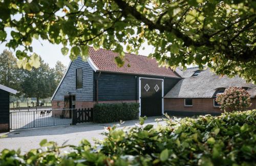 Uffelte Maison | Hoeve 6