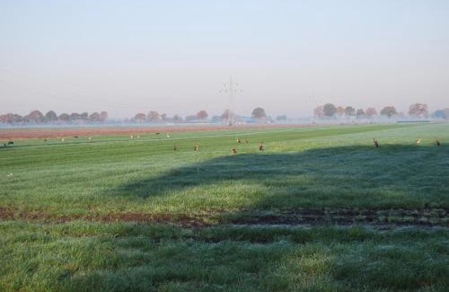 Municipality of Hardenberg Lit Et Petit-Déjeuner | Hoeve de Heemser Parel