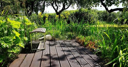 Renz Appartement | Hof Garz