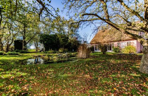 Renz Appartement | Hof Garz Wohnung Kräutergarten
