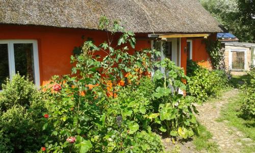 Kuckenshagen Appartement | Hofboddenblick