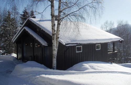 Hjartdal Municipality Appartement | Hogstul Hytter - Apartment North