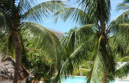 Downtown Holbox Maison | Holbox Casablanca maison privée (10 personnes)