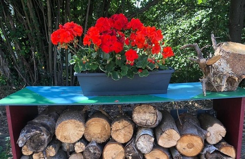 La Calamine Appartement | Holiday apartment / app. for 6 guests with 110m² in Kelmis (147779)