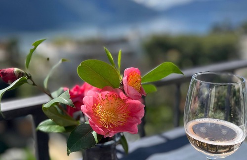 Ascona Appartement | Holiday apartment Ascona for 1 - 4 persons with 2 bedrooms - Holiday apartment in one or multi-famil