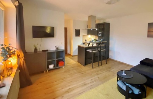 Schwalefeld Appartement | Holiday apartment Aussen Pfui - Innen HUI